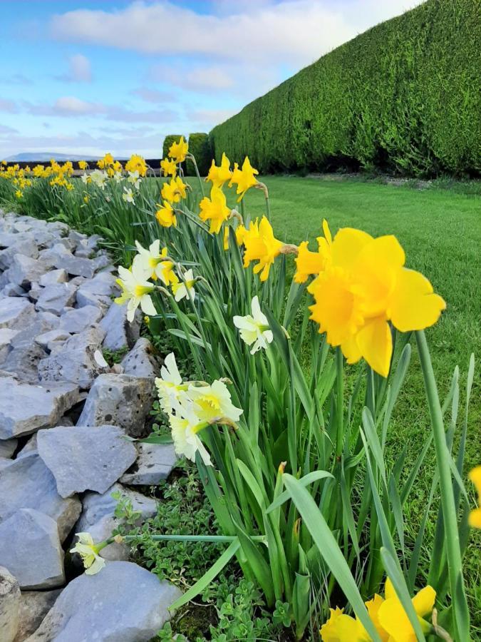 Bunratty Haven Bed & Breakfast Eksteriør bilde